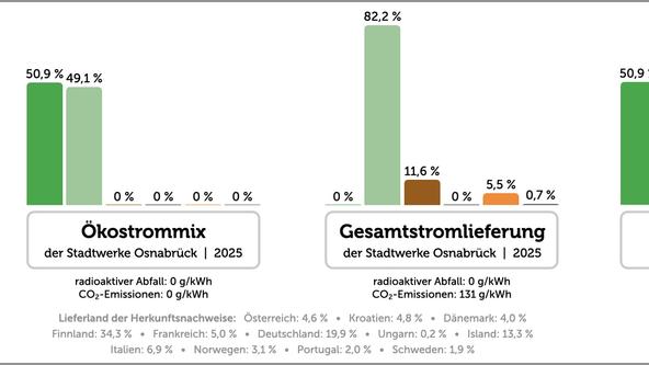 Stromkennzeichnung 2025