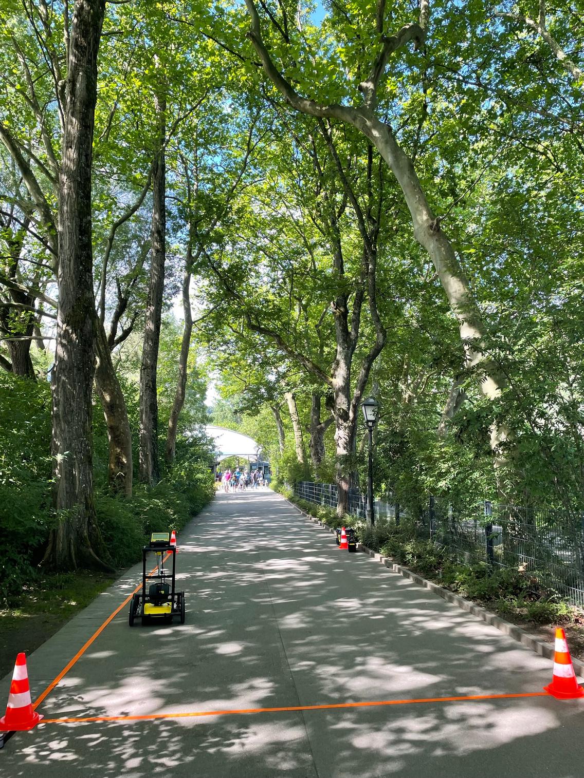 Auf einem Gehweg wurde ein Bereich mit Pylonen markiert. Die Fläche wird mithilfe eines Georadars systematisch untersucht