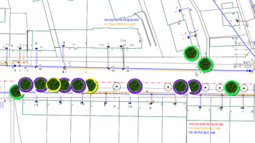 Die Straßenbäume wurden mit Markierungen in den Farben Lila, Gelb und Grün versehen